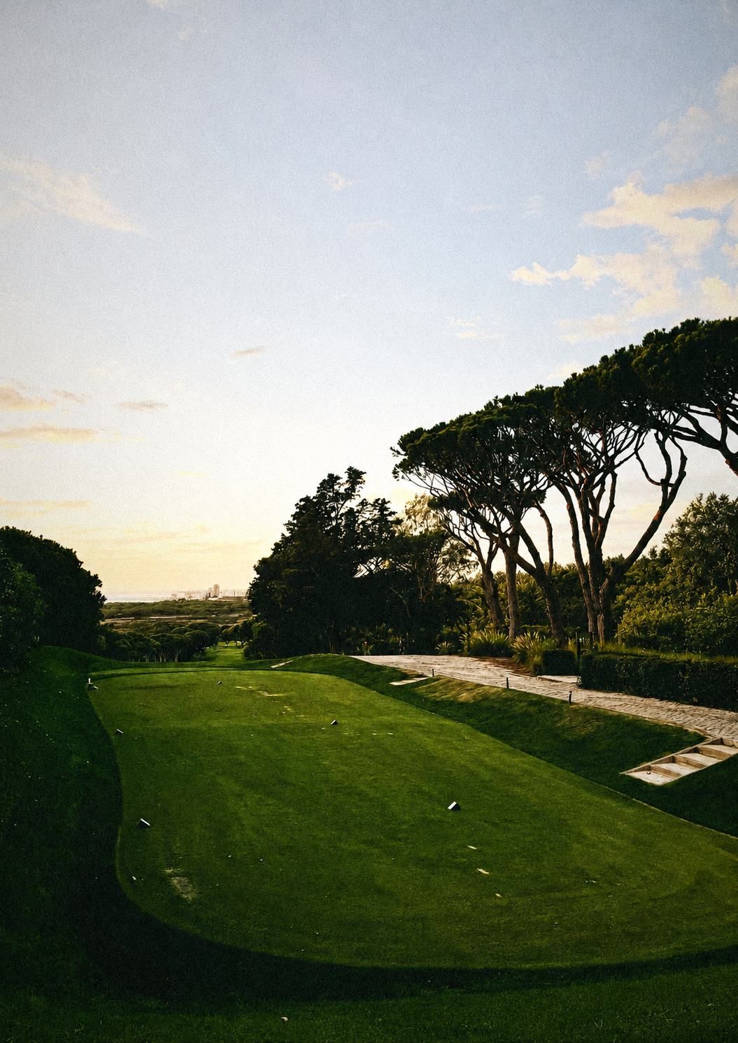 Stone pines and the Algarve coast at golden hour